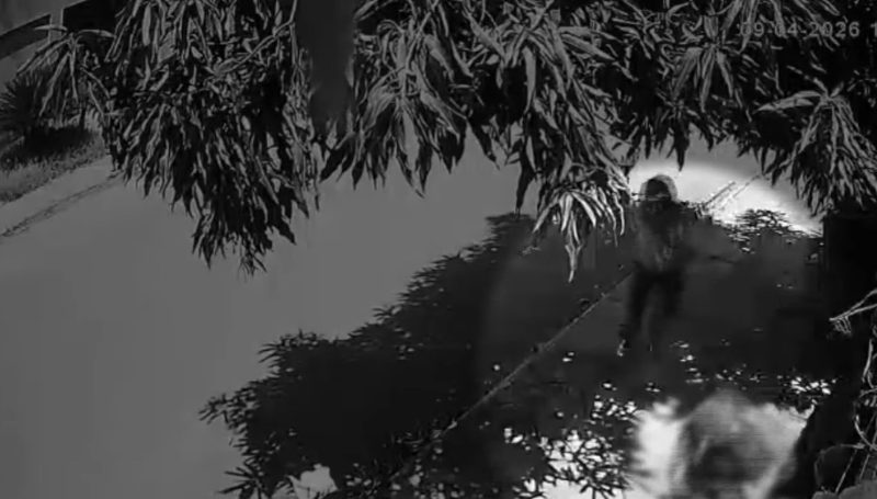 Câmera flagra homem sendo baleado 4 vezes em plena luz do dia em Rondonópolis