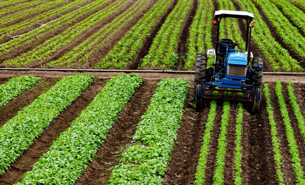 Crédito rural empresarial atinge R$ 404 bilhões no Plano Safra 2025/2026