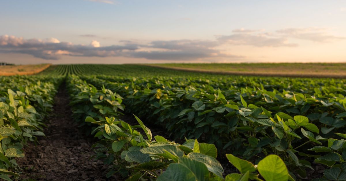 Cenário é de incerteza para o Plano Safra 2026/ 2027