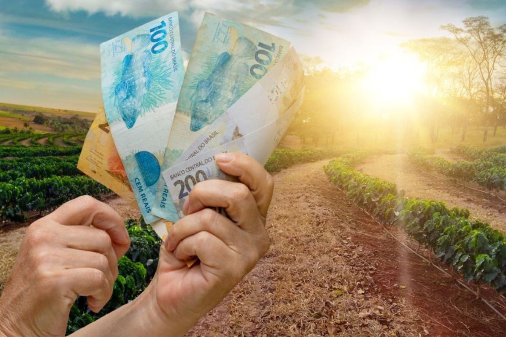 Crédito rural avança, mas produtor reduz investimento