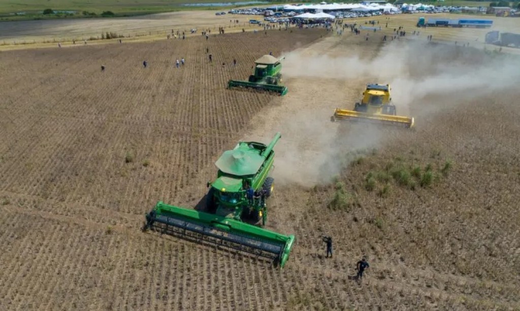 Estado avança como nova fronteira de grãos fora da janela tradicional