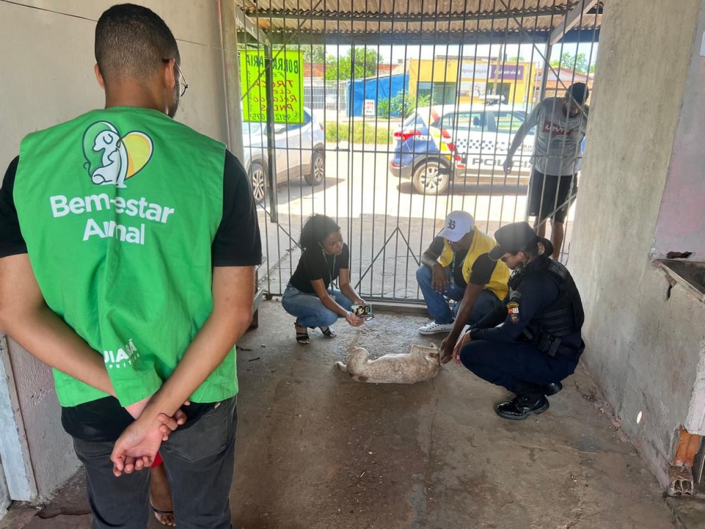 Bem-Estar Animal atua em denúncia de maus-tratos com suspeita de zoofilia em Cuiabá