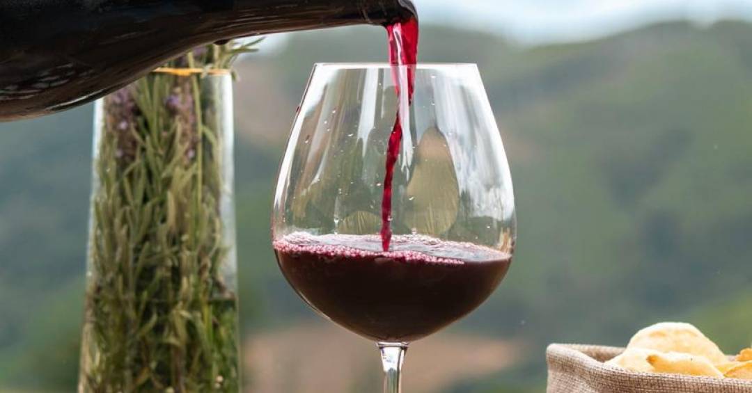 Importações brasileiras de vinhos atingem US$ 558 milhões  em 2025