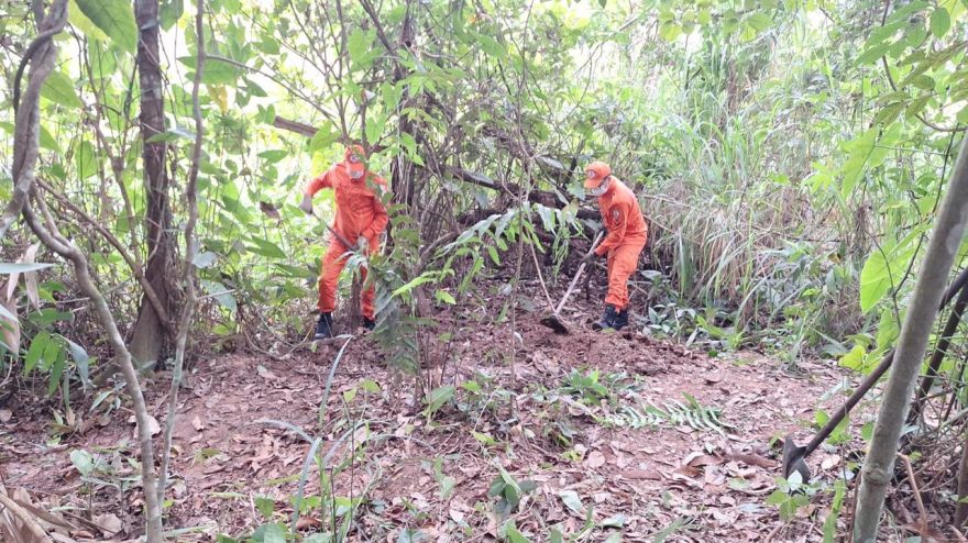 Corpo sem cabeça é encontrado em área rural e brutalidade choca Rondonópolis