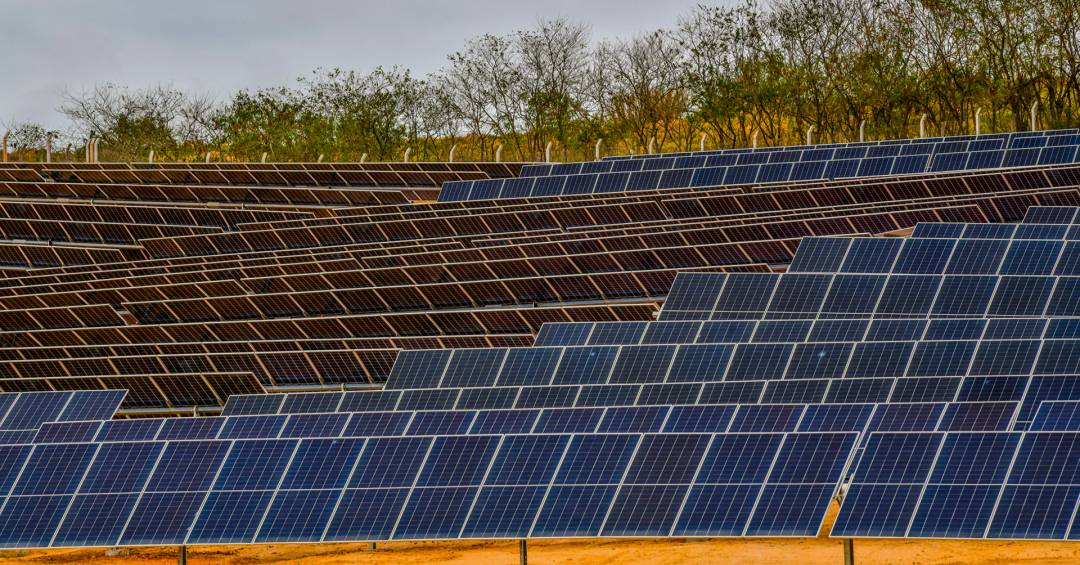 Energia barata e IA: as apostas da Bow-e para crescer