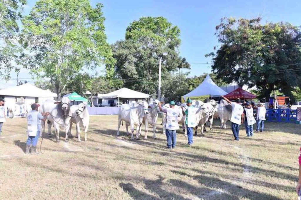 ExpoCarpina começa amanhã com mais de 1,5 mil animais e foco em negócios