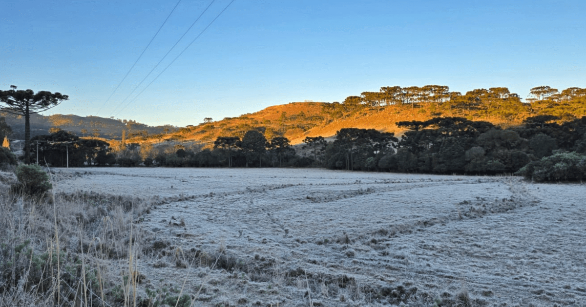 Inmet alerta para primeiros dias de frio intenso de 2026 no Sul do Brasil