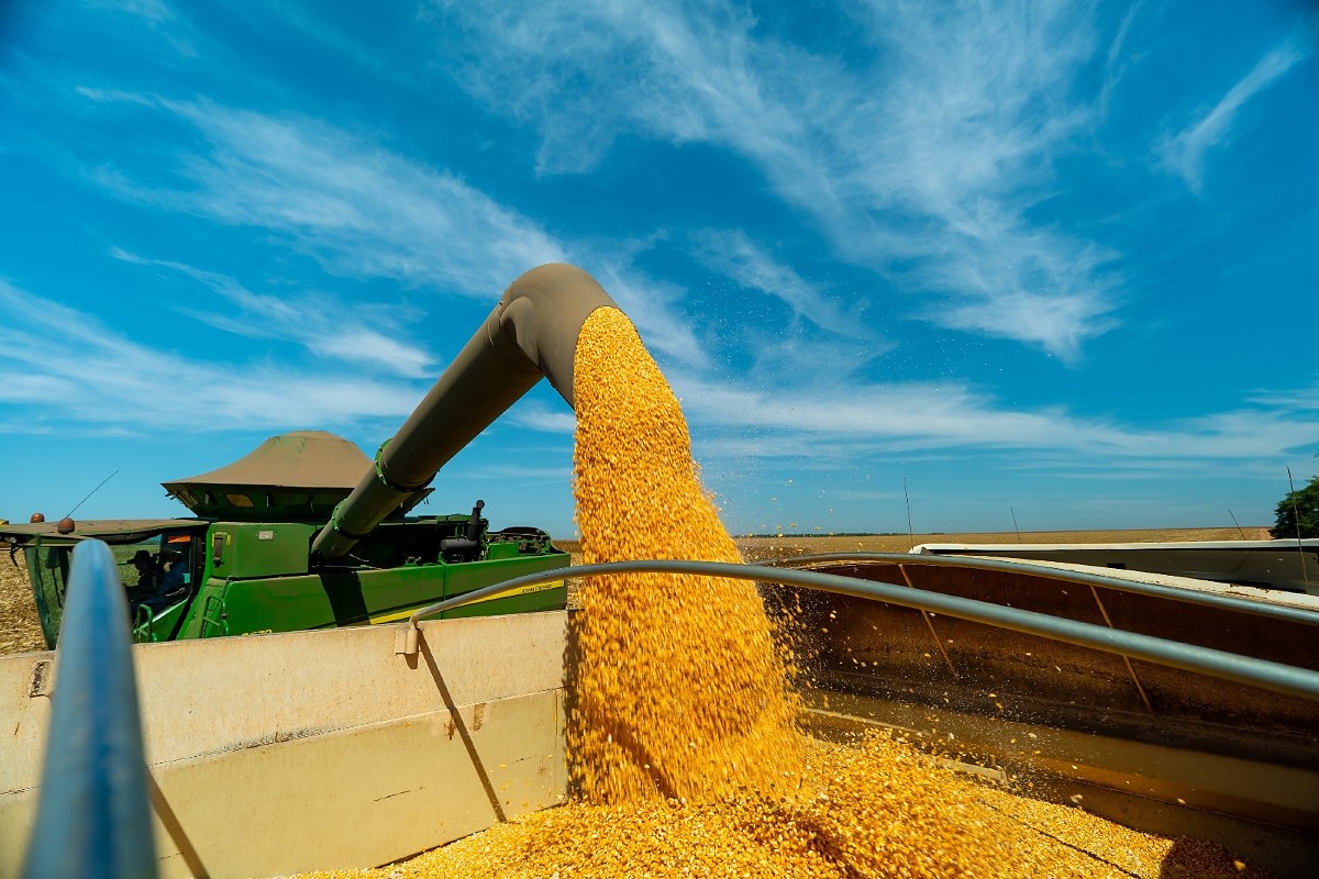 Lucas do Rio Verde rompe marca de 1 milhão de toneladas de milho e move indústria de bioenergia em MT